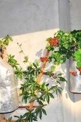 blumen