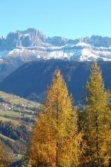 rosengarten